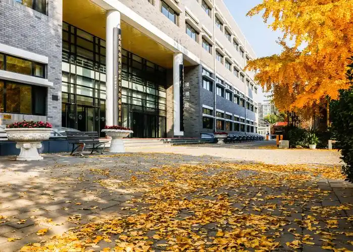 秋语一一摄于北京二中校园(2018版)