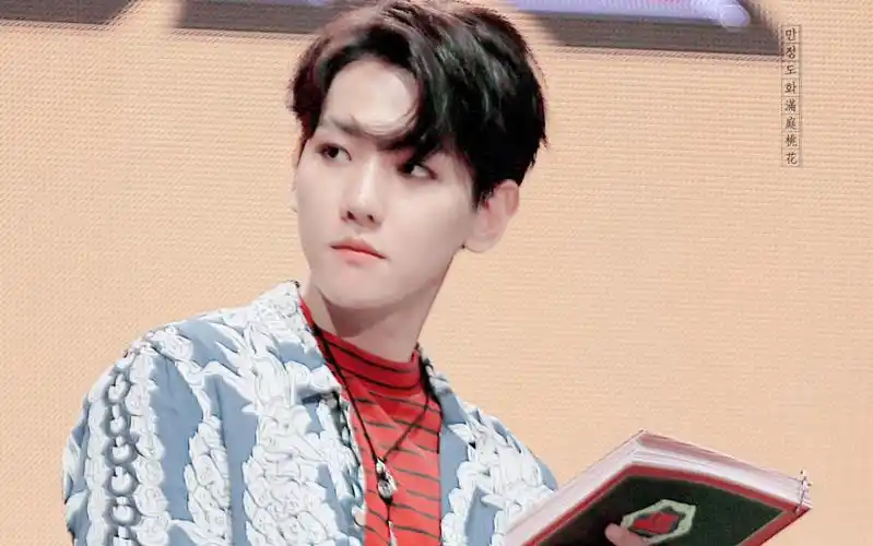 170906 边伯贤 - kokobop 二倍速舞蹈 直拍