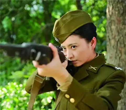 图电视剧黎明前的抉择剧情简介巩汉林斓曦针锋相对