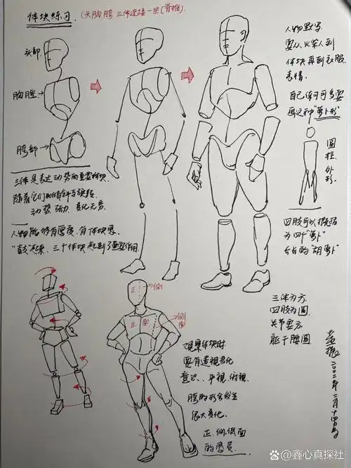 速写基础课之体块动态 速写动态,体块,肌肉,理解入门知识.