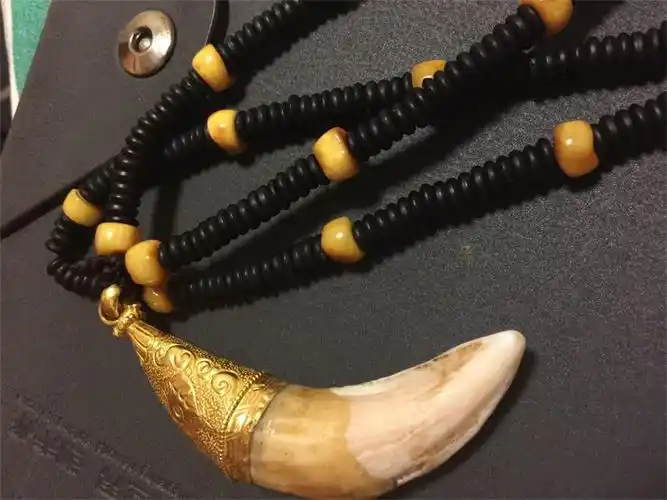 24k 包金熊牙 8cm以上  24k黄金18克 老蜜蜡8k 野熊牙一颗  独一无二