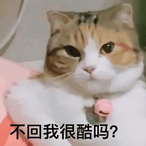 表情包|啊,我这华而不实的脑袋