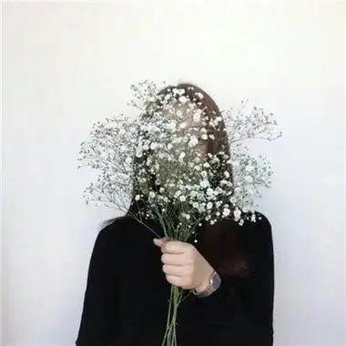 女生手捧满天星头像唯美漂亮