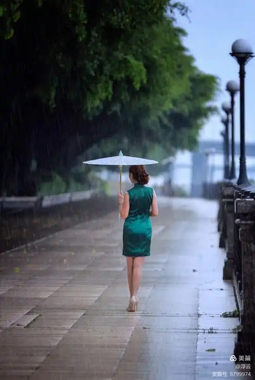 在古巷里,青石上,裹着青花旗袍的丁香女子,是烟雨江南雨巷里的幽香.