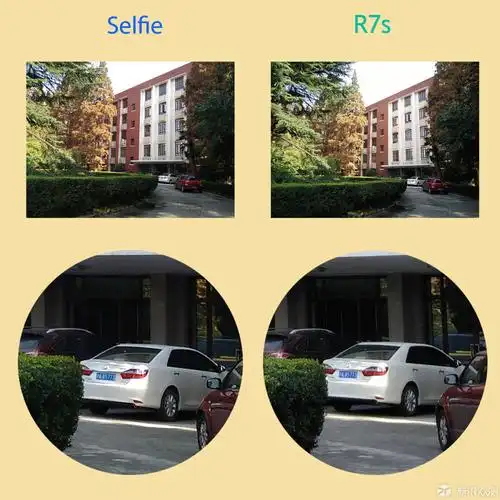 再来看静物的样张对比,两者的分辨率都非常不错,难分伯仲.