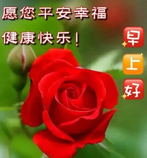 早安心语早安问候图片早上好祝福语