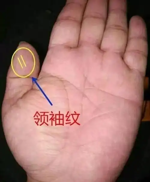 领袖纹三角纹位于智慧线上,会增强人的智慧,帮助其人在学术,理论方面