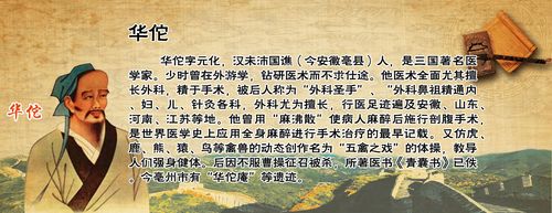 华佗简介,华佗简介资料20字