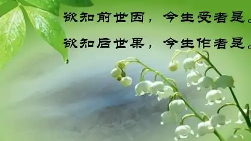 受熏持种变现果报的阿赖耶识唯识之一