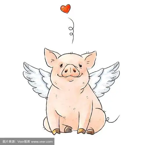 手画有天使翅膀的淘气猪.可爱有趣的小猪和心脏孤立在白色的背景.