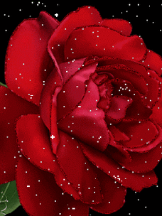 240_320竖版 竖屏gif 动态图 动图