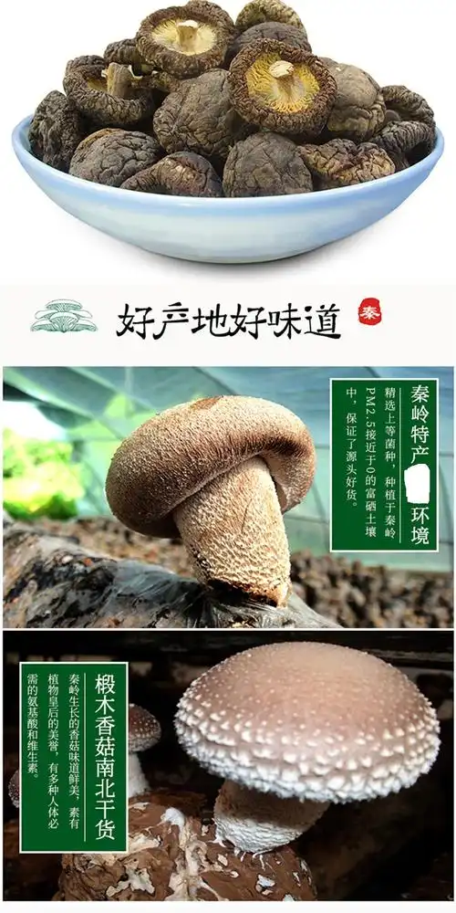 宁陕山珍 特产大礼包 香菇500克 黑木耳500克,善融商务个人商城仅售