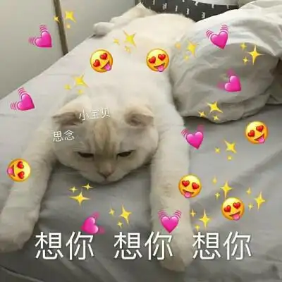 情侣撩汉可爱撒娇表情包