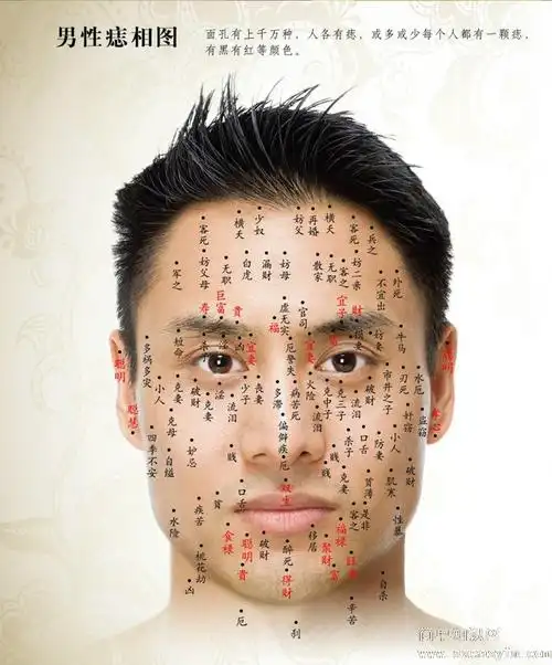 男女面部痣的分解图