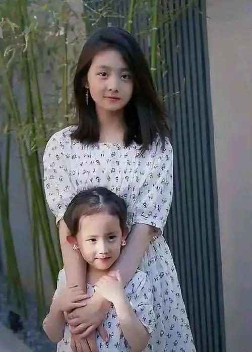 赵丽颖印象深刻?贾乃亮喜出望外?黄磊正面回应?_东西_网友_小孩子