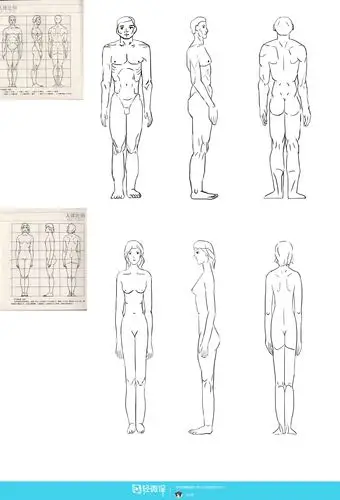 古风插画之人体比例