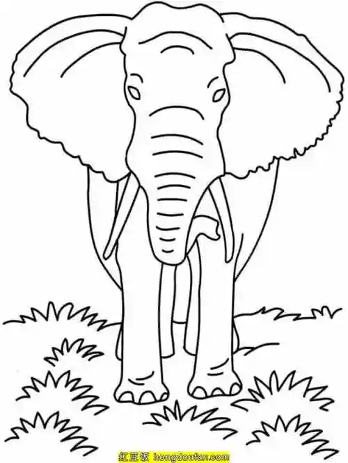 9张动物园大象主题涂色图片-红豆饭小学生简笔画大全