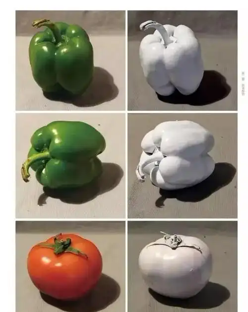 《常规单个静物训练》