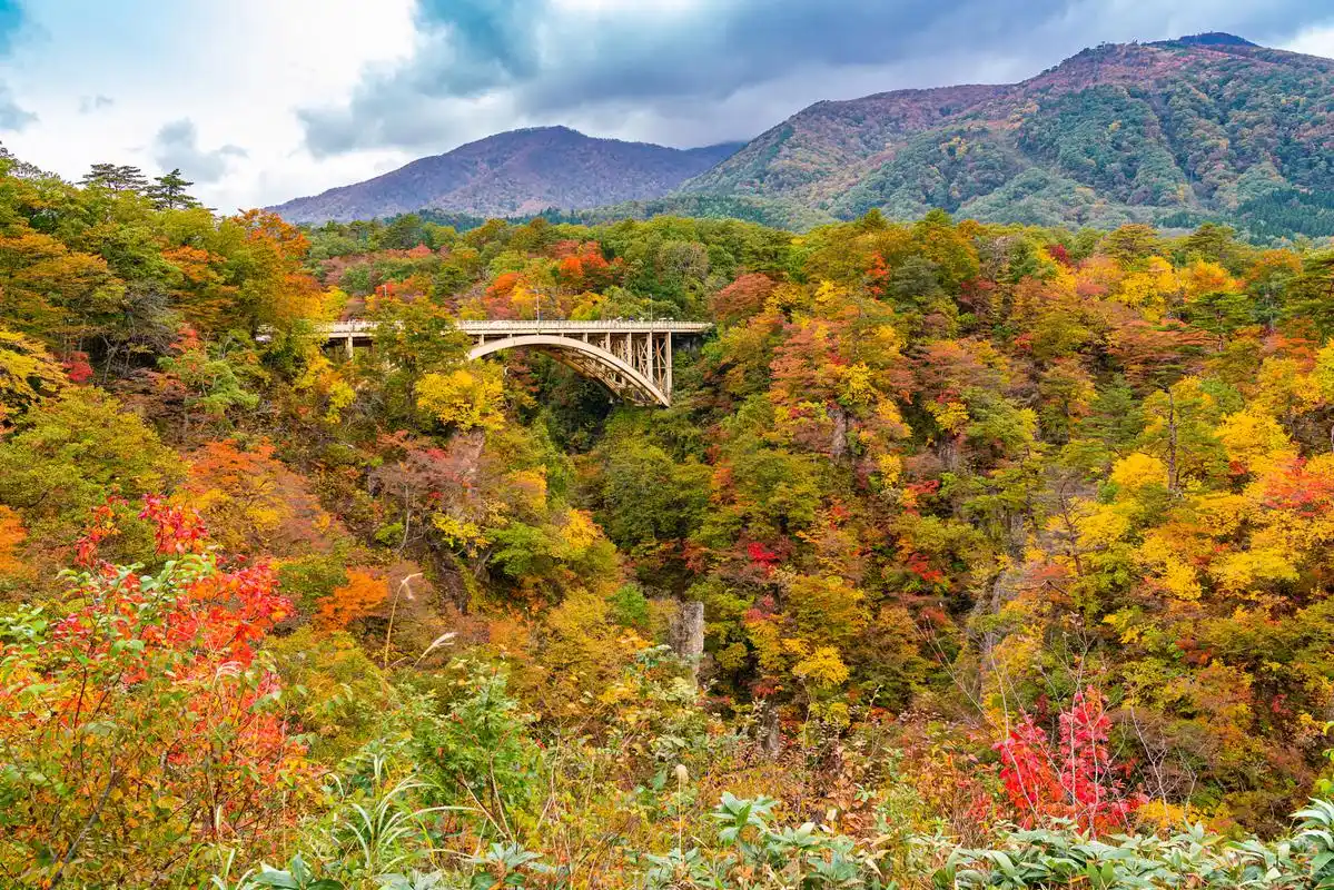 层林尽染,重庆秋天的美丽风景 没错,重庆的秋天确实是层林尽染,美丽