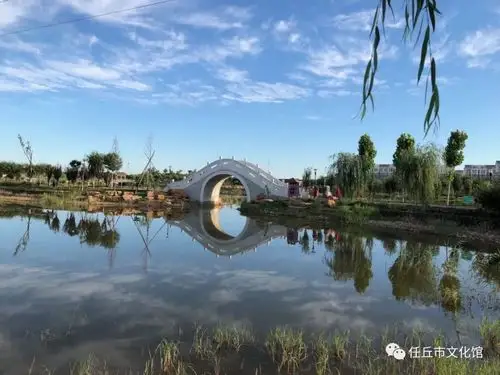 任丘市随手拍绿化摄影作品展开展啦