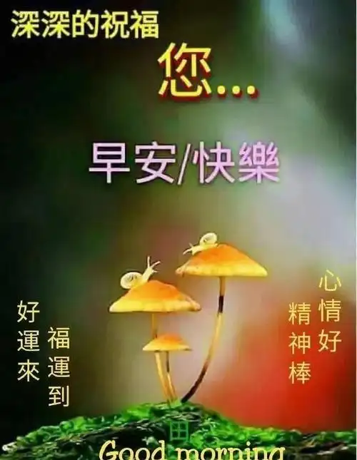 最新周未早上好暖心祝福语图片,清晨句句温暖人心的早安祝福句子