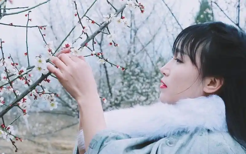 揭秘2017年最火网红古风美食第一人李子柒的爆红原因