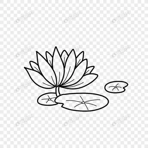 莲花禅意简笔画