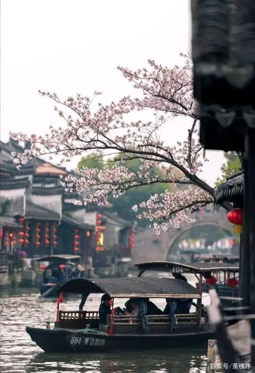 江南六大古镇之一,水墨小城,烟雨长廊,梦里西塘