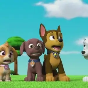 paw patrol chase 汪汪队阿奇