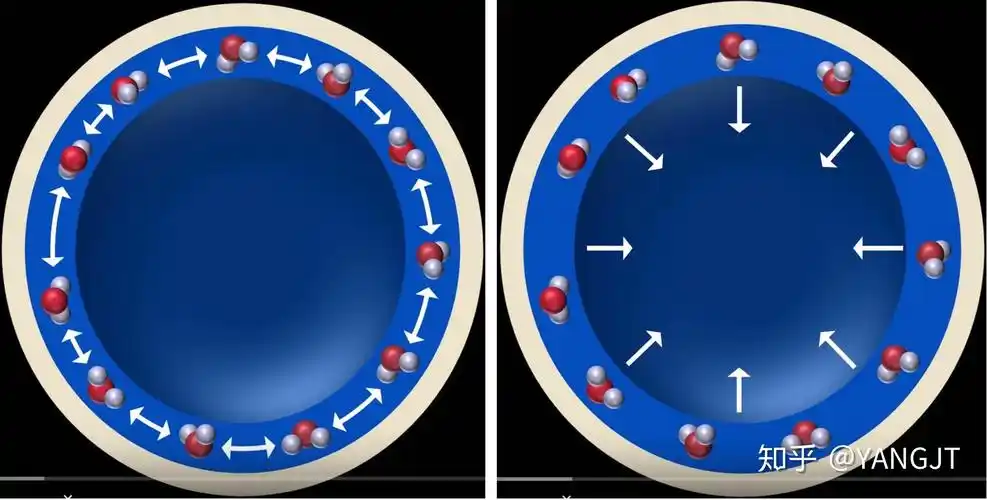 由于表面张力,水分子间互相拉伸,最终合力的效果就是形成一个向内的
