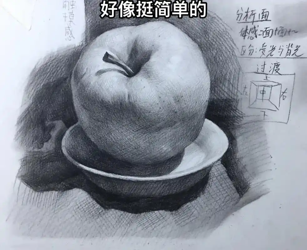 素描苹果步骤图教程.#海豚知道 #零基础学画画 #素描苹果步 - 抖音