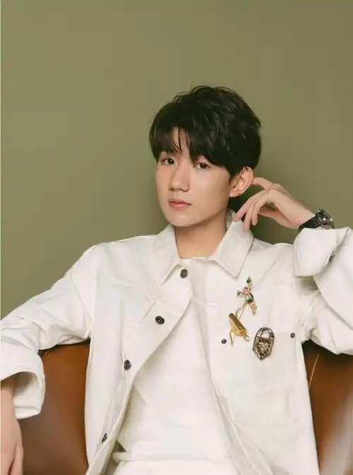 然而,也有一些人认为,王俊凯最初因其出色的歌唱实力而走红.