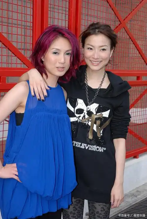 区别郑秀文与杨千嬅:从外貌到音乐风格的辨别指南