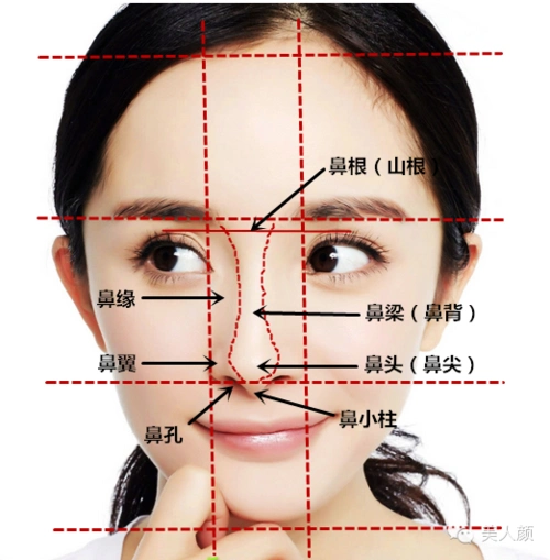 整形医生看《爵迹》系列二,被郭敬明选中的鼻子们