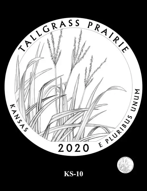 the ccacs recommended designs for the 2020-2021 america the