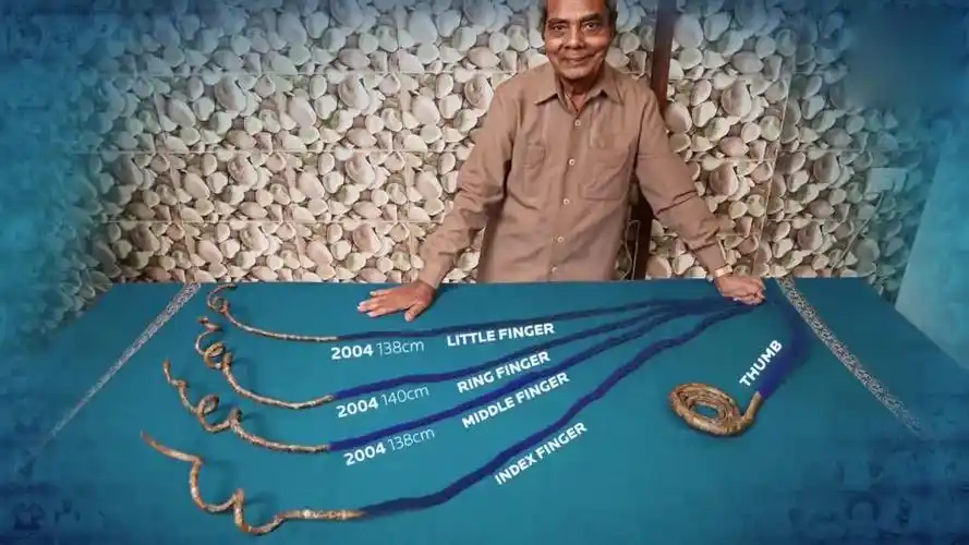 世界上指甲最长的人,指甲长度总和达到9米,太恐怖了