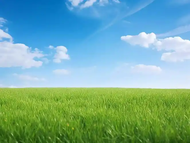 蓝天白云一望无际的草地草原风景图蓝色天空唯美自然日落下一望无际的