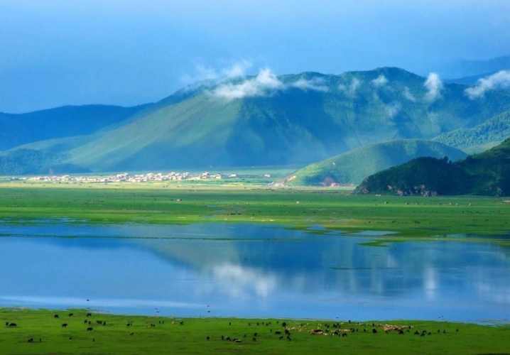 纳帕海大草原一半是湖泊一半是草原