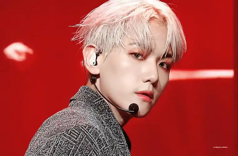 边伯贤 - 堆糖,美图壁纸兴趣社区