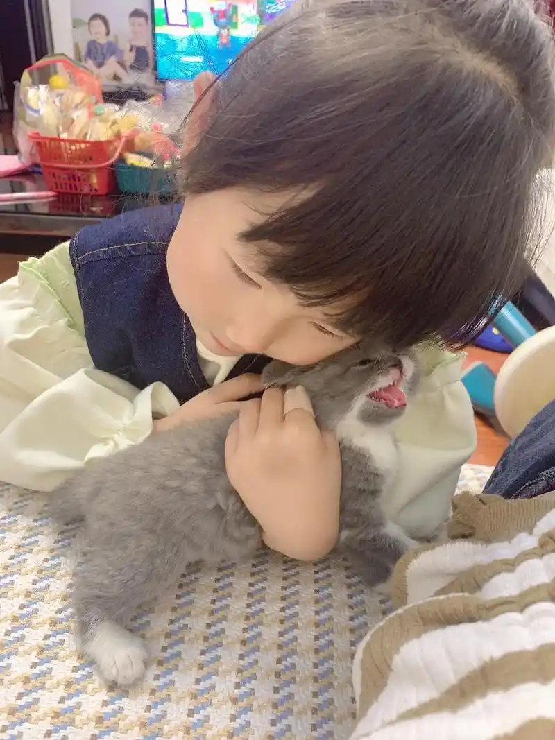 女儿超爱的花花