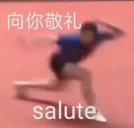 向你敬礼salute_敬礼_salute表情
