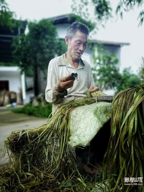 剥麻- 达州摄影 - 凤凰山下 - powered by discuz!