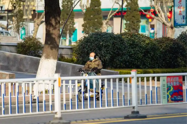 庚子年的正月初一,夏村街上很宁静,市民生活井然有序,如同日常,只是