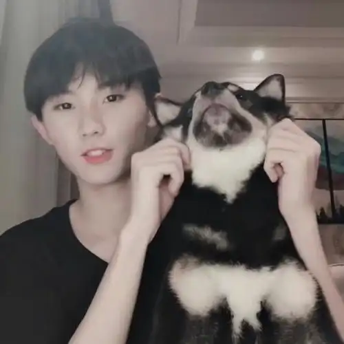 柴六斤头像 是柴犬,是黑炭,也.