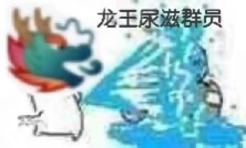 龙王表情包
