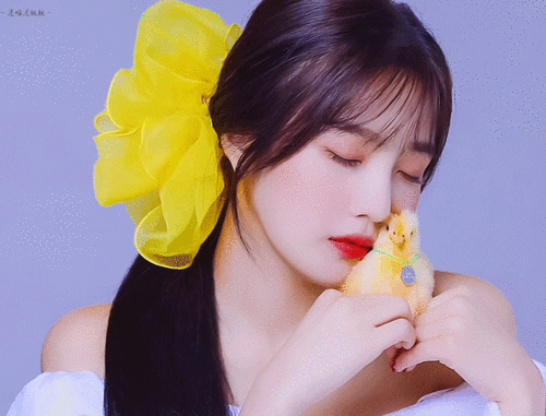 朴秀荣 joy 动图