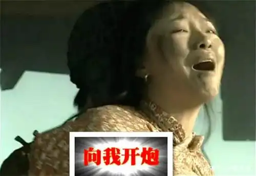 向我开炮!《亮剑》杨秀芹怒喝震惊敌胆