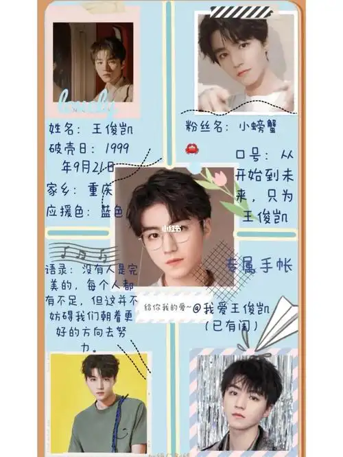 我爱王俊凯(已有闺)专属手帐