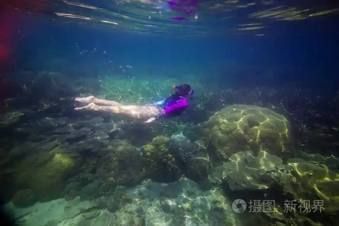 女人在水下游泳美丽的女人在水下潜水之前到珊瑚礁