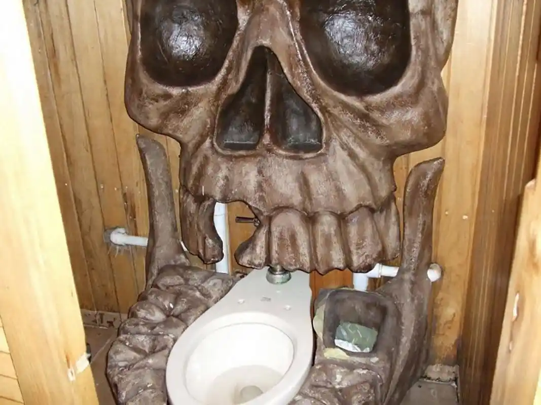 盘点世界上最奇葩厕所,每一款都挑战你的底线,最后一个羞羞脸